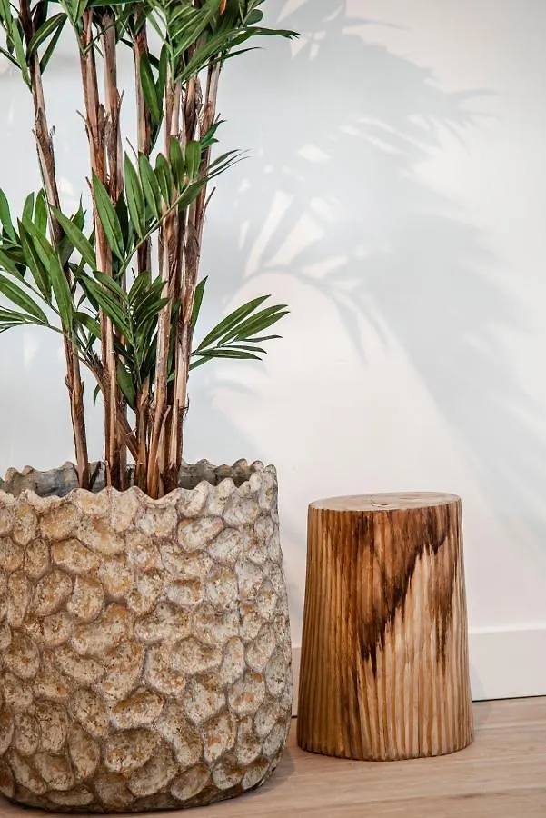 Yucca Beachhouse Zandvoort